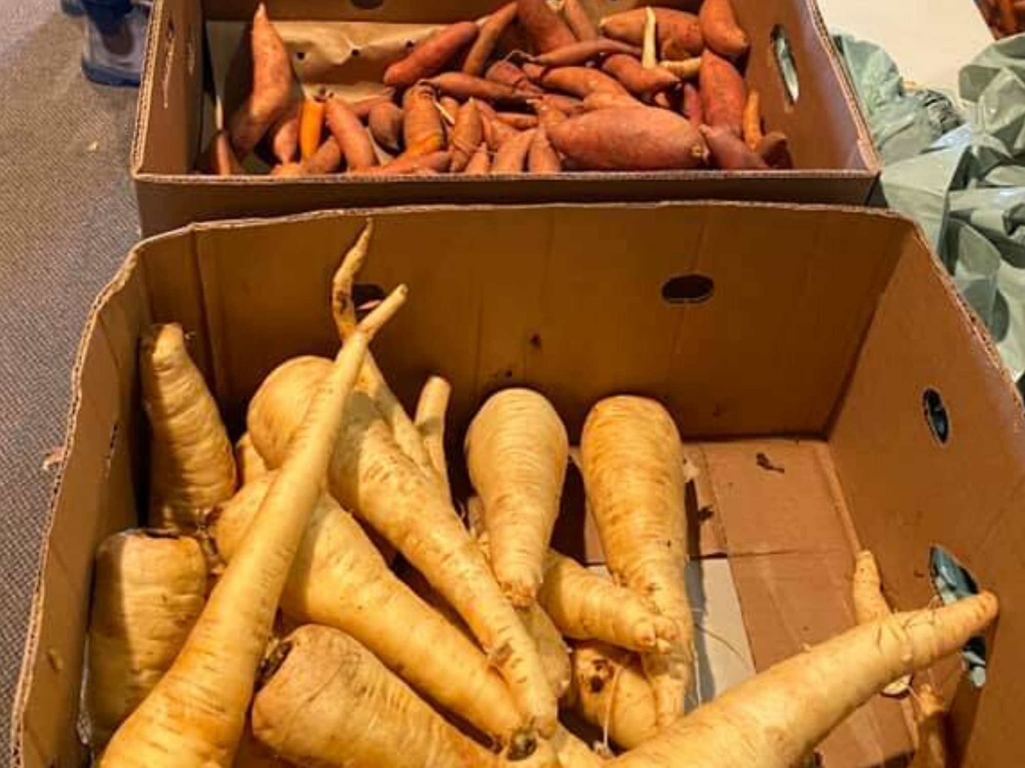 Salvation Army Partners with Square Roots to Bring 4,000 lbs of Fresh Produce to Low-Income Families Each Week