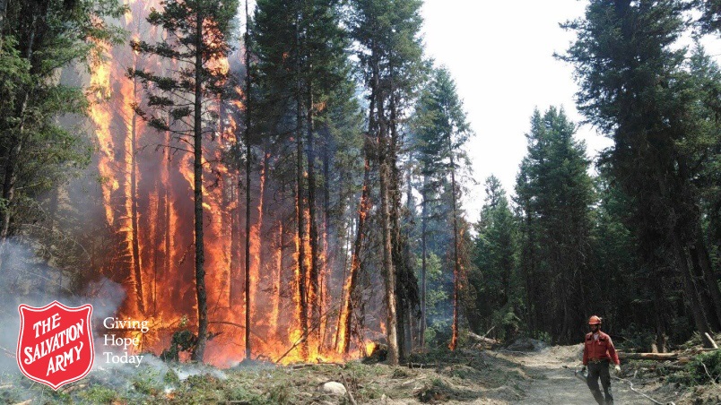 Forest on fire with worker in foreground