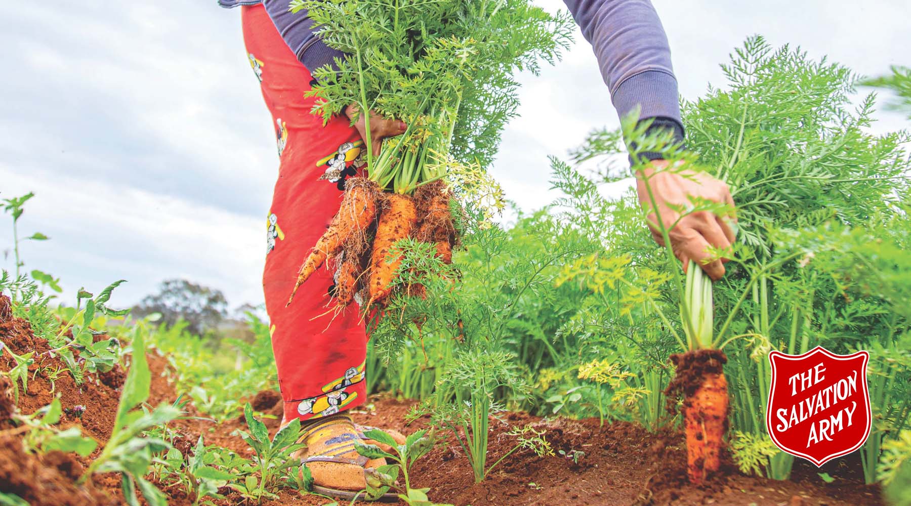 Growth Takes on a New Meaning of Hope