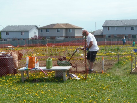 Community gardens empower families and neighbourhoods