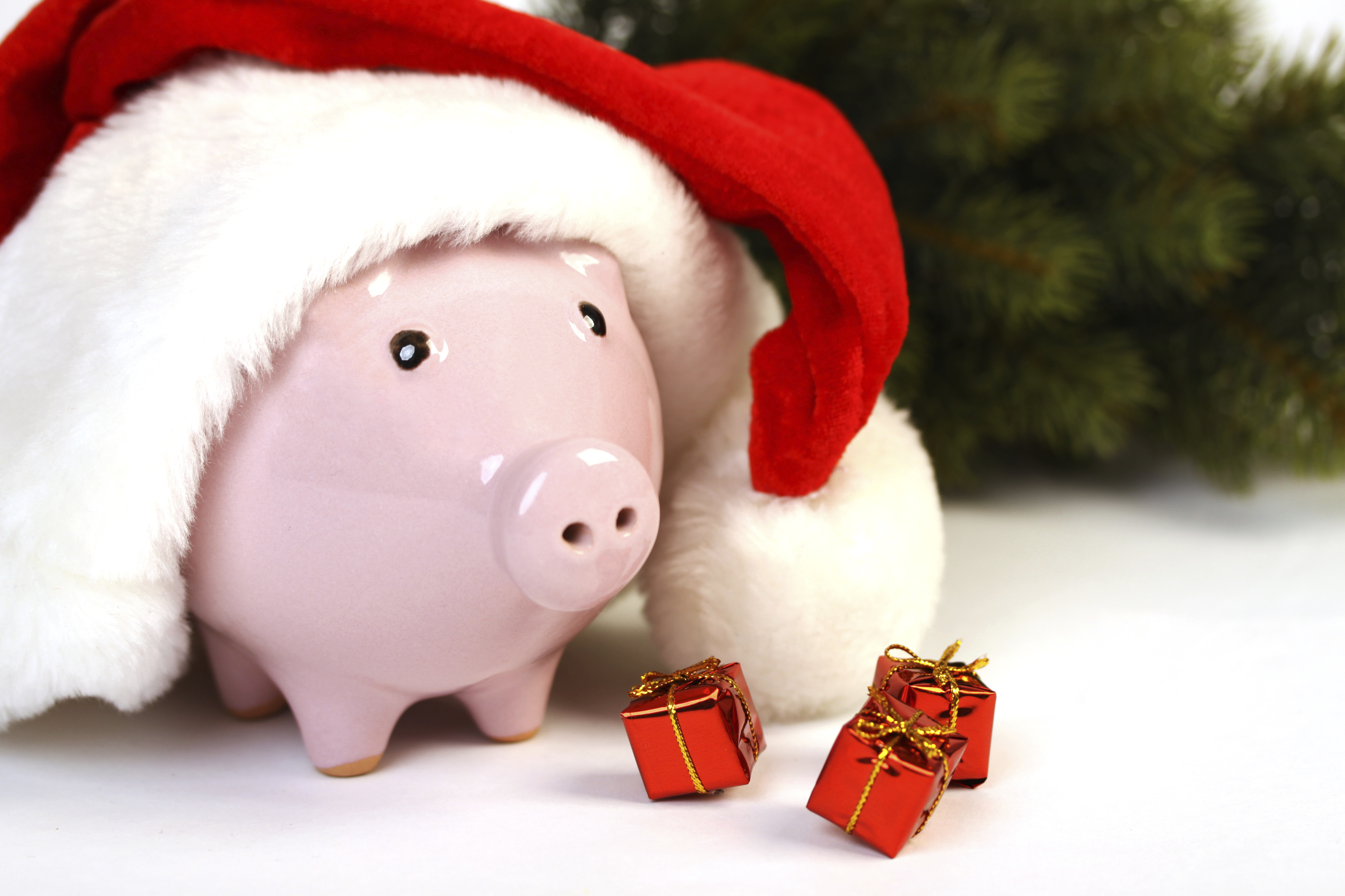 Piggy bank with Santa hat, gifts, christmas tree