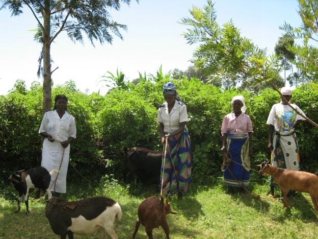 Owners with goats that provide health benefits and income