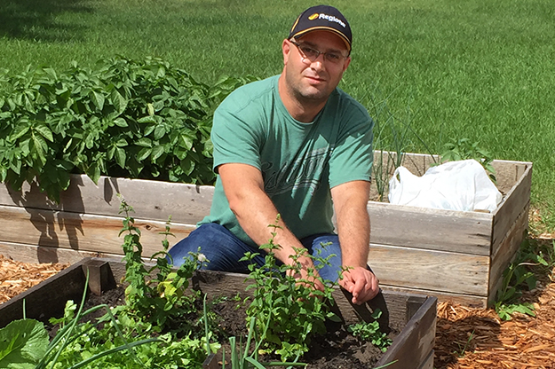 Gardener plants fresh produce