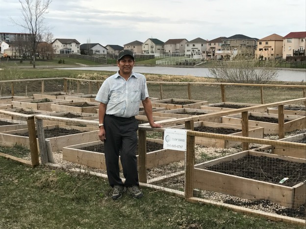 Dil stands in front of garden box at Southlands community garden