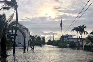 Hurricane Irma floods John's street