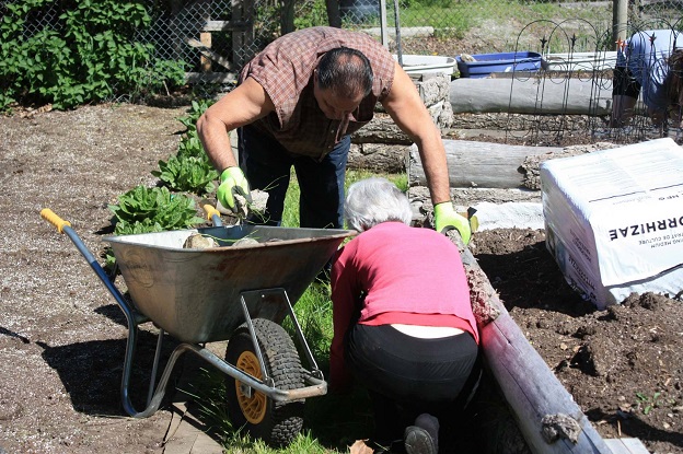 community garden