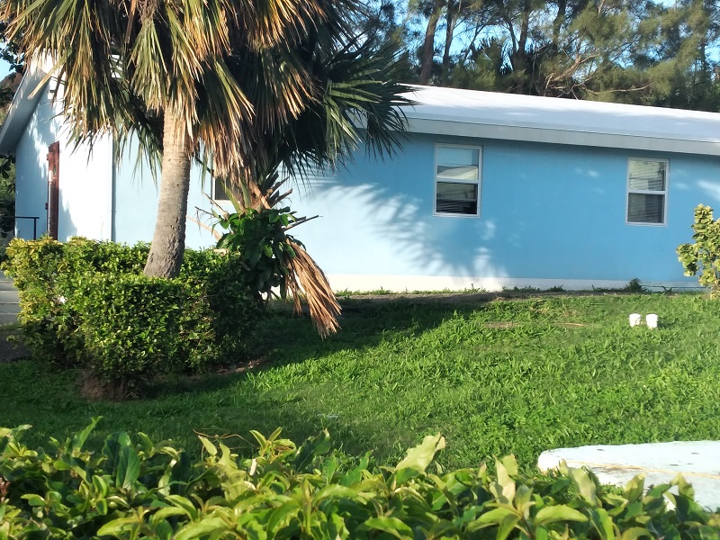 Bermuda shelter sits behind palm tree on landscaped property